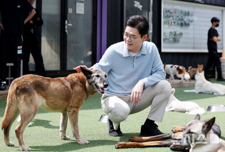 정원오 "유기동물 입양 가정에 최대 25만원 지원…불법 번식장 단속 강화" [뉴시스Pic] 