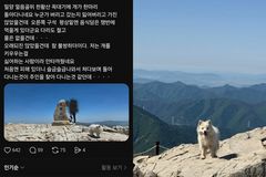 "주인 찾듯 정상 떠돌던 강아지"…천황산 유기견 극적 구조