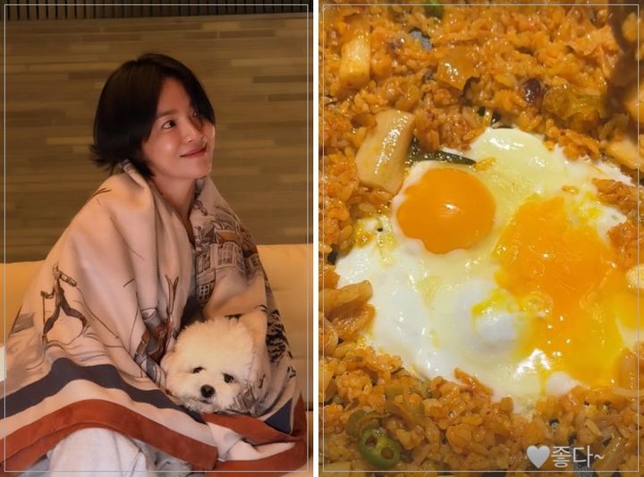 송혜교도 야식을 먹네…