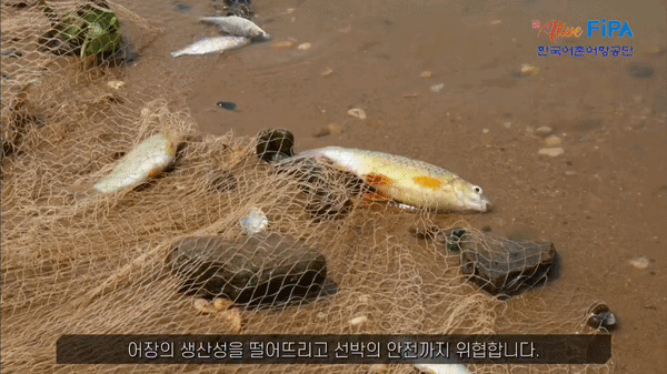 버려진 그물이 바다 생태계 위협…폐어구 신고 의무화