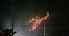 홍천 내면 산불…1시간 5분만에 진화