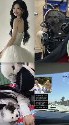 '故최진실 딸' 최준희, 강아지 두 마리와 LA 신행 '포착'