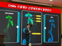 "고기 먹고 싶다" 이유 있었네…장이 뇌에 보낸 신호였다