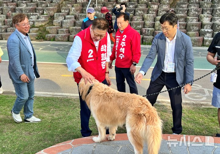 [6·3부산]연설대신 1.7㎞ 걸었다…박형준 '도보 유세'