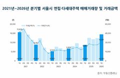 1분기 서울 연립·다세대 매매 1만건 돌파…임대차 거래도 급증