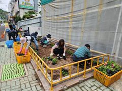 통영 북신·도천·도산면, '백일홍·천일홍' 등 여름꽃 식제