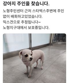 동물병원 탈출 애완견…경찰·배달기사 기지에 주인 품으로
