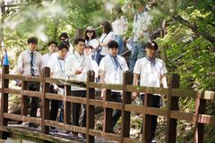 "함께 걷는다"…원 로슈, 국내외 소외 아동 지원