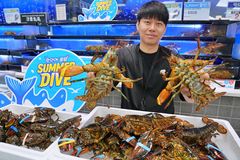 '비싼 몸' 랍스터 반값에…롯데마트, 15만마리 물량 푼다 