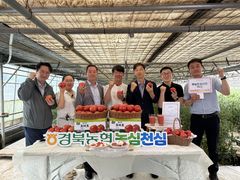 [대구소식]경북농협, 라이브커머스 현장 방송 등
