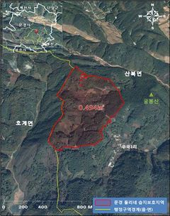 친환경 농법으로 습지 보전…대구환경청, 손 모내기 체험