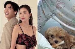 신지, 문원과 결혼 후 새 가족 "큰 결심하고 데려 와"