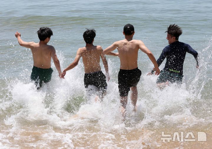 더위 식히려 물속으로 '풍덩'…"렌즈는 꼭 빼세요"