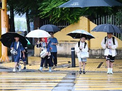 우산 쓰고 등교하는 아이들