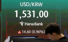 치솟는 환율, 고공행진 언제까지…1500원대 고착화되나