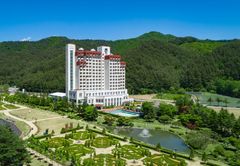 자연부터 미술·향수까지 경험형 패키지[주말&호텔·리조트]