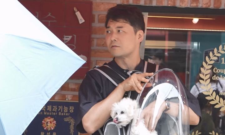 전현무, 반려견 '성수동 인싸견' 만든다