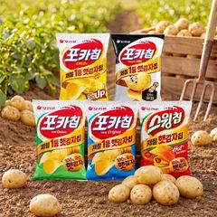 "지금 먹어야 제 맛" 햇감자·초당옥수수 등 '제철코어' 제품 쏟아진다 