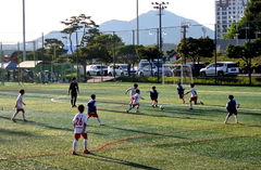 [평창소식]키파컵 평창 전국 유소년 축구대회 10일 개막 등