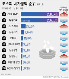SK하이닉스, 삼전 보통주 제치고 시총 1위…25년 7개월만[핫스탁](종합)