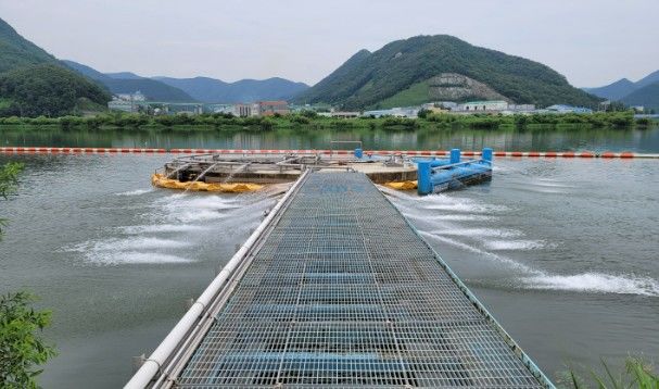 낙동강 물금·매리지점 조류경보 '경계' 단계 발령