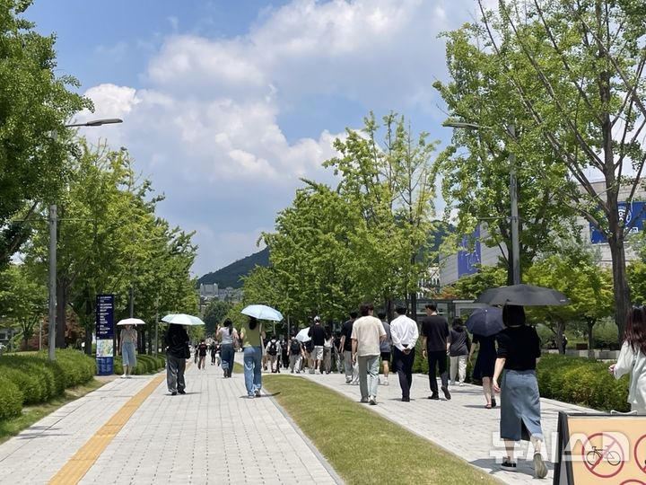 "라떼는 아줌마 템이었는데"…폭염 속 대학가 점령한 '양산'[출동!인턴]