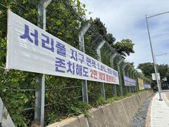 서리풀2지구 주민들, 공공주택 지구지정 취소 행정소송 제기