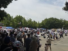 '잠실 개표소 봉쇄' 23일째…땡볕에 시위대 줄고, 청년층 발길 '뜸'