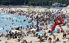 항만 개발·방파제 정비로 12년새 해안선 307.9㎞ 늘었다