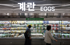 '달걀 자가품질검사' 살모넬라균 검사 의무된다[식약처가 바꾼다]