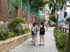 종로구, 창신초 보호구역에 도시숲 통학로 조성