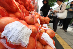 농산물값↓·농자재값↑…정부, 농가 경영부담 완화에 총력