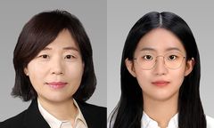 서강대·고려대, 식물 상처 치유하는 '큐티클 방화벽' 발견
