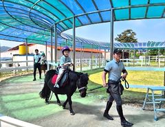 영천 운주산 승마조련센터, 승마 체험료 최대 48% 할인