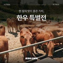 청보리 먹고 쇠죽 먹고…신세계百, 산지별 ‘명품 한우’ 알린다