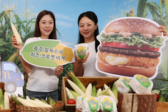 [단독]한국맥도날드, 충주 찰옥수수 버거 판매 조기 종료…"돌 알갱이 발견"