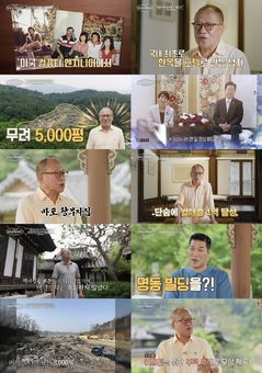 "30년 모은 보물 1100점 잃고도"…안영환, 8000평 땅 이재민에 내줬다