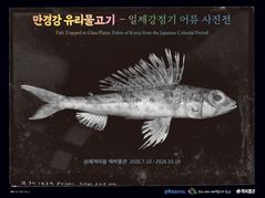 완주 삼례책마을, '만경강 유리물고기' 특별전 