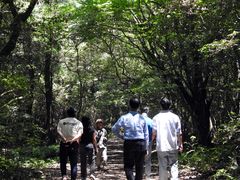 [워크 in 제주]관광 넘어 정주로…진화하는 제주형 워케이션