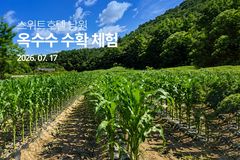 "호텔 묵으며 옥수수 수확"…체험형 콘텐츠 확대