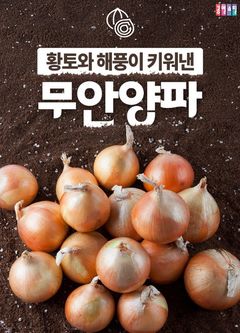 "양파 소비 늘리자"…공영홈쇼핑, 특별방송 진행
