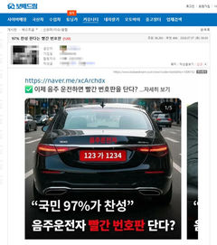 음주운전자에 빨간 번호판을?…"국민 97% 찬성" 알고 보니