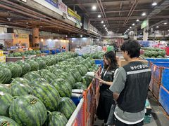 [대구소식]다소비 농산물 잔류농약 480종 안전성조사 등