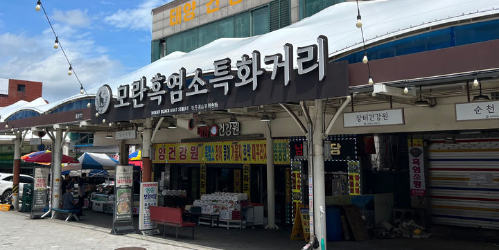 개 식용 종식 앞둔 마지막 여름…모란시장 풍경[출동!인턴]