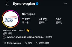 노르웨이 항공사, 월드컵 패배 후 英항공 로고로 변경…이색 내기 화제