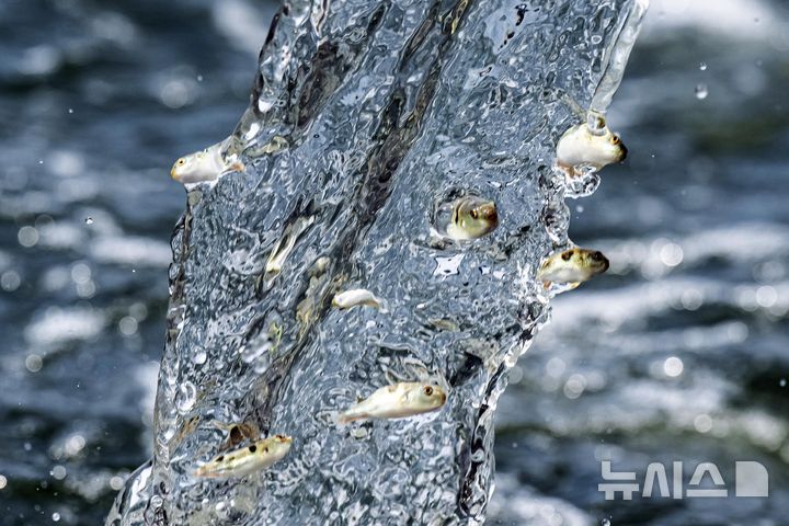 "우리 바다로 가요~" [뉴시스Pic]