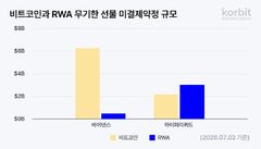 삼전도 '24시간 거래'…규제 밖에서 커지는 한국 자산 거래
