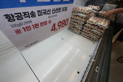 "오전에 다 팔렸어요" 이마트 미국산 신선란 인기