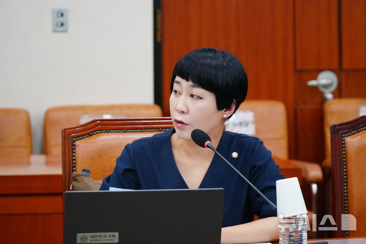 [단독]미술서비스업 신고제 26일 시행인데…전산시스템 없어 1년간 수기 관리 예상