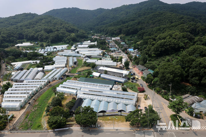 그린벨트 해제 카드…주민 반발·공급 효과 '이중 부담'[닥치고 공급②]